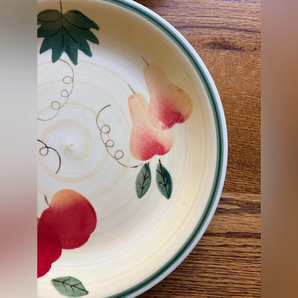 Royal Norfolk Fruit-Pattern Dinner Plates- set of 2-  Stoneware in Cream and Red